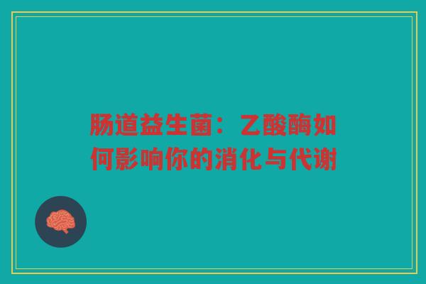 肠道益生菌:乙酸酶如何影响你的消化与代谢 肠道益生菌:乙酸酶如何影响你的消化与代谢