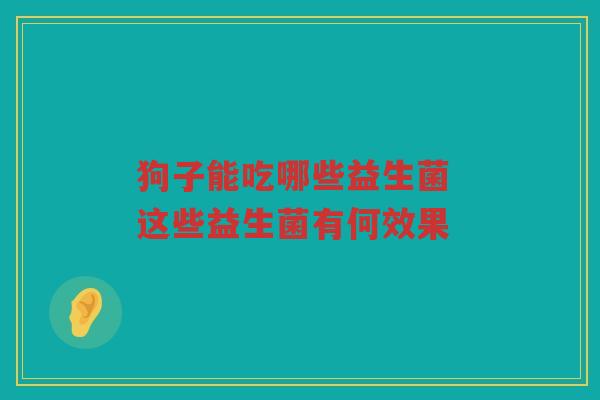 狗子能吃哪些益生菌 这些益生菌有何效果 狗子能吃哪些益生菌 这些益生菌有何效果