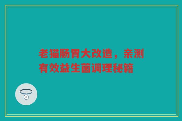 老猫肠胃大改造,亲测有效益生菌调理秘籍 老猫肠胃大改造,亲测有效益生菌调理秘籍