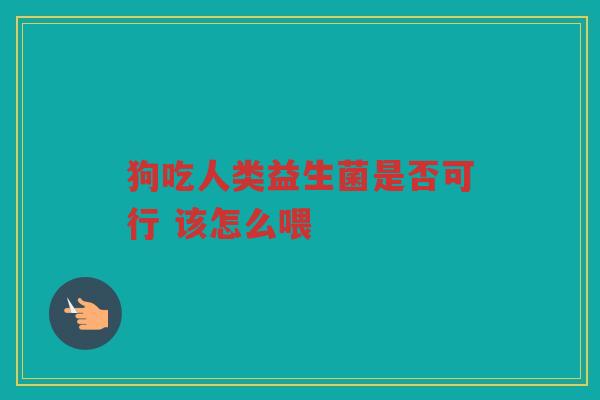 狗吃人类益生菌是否可行 该怎么喂