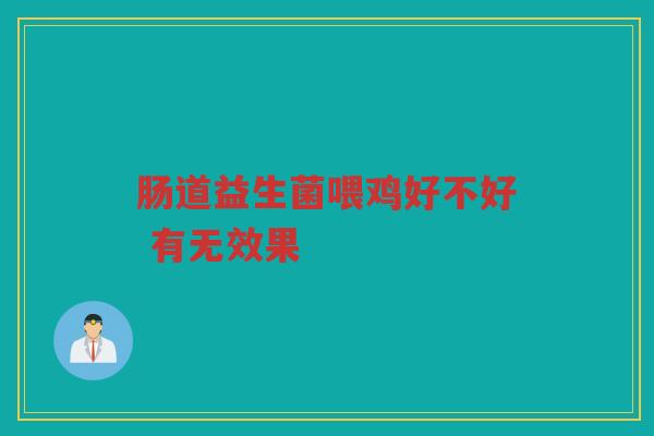 肠道益生菌喂鸡好不好 有无效果