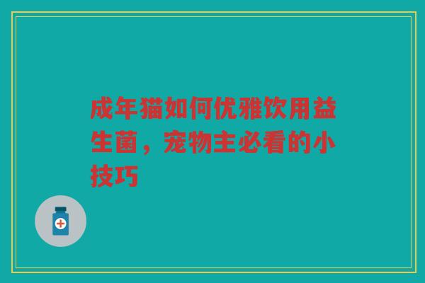 成年猫如何优雅饮用益生菌,宠物主必看的小技巧