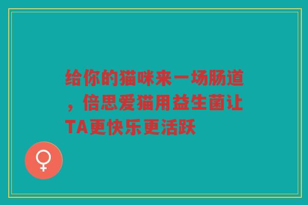 给你的猫咪来一场肠道，倍思爱猫用益生菌让TA更快乐更活跃