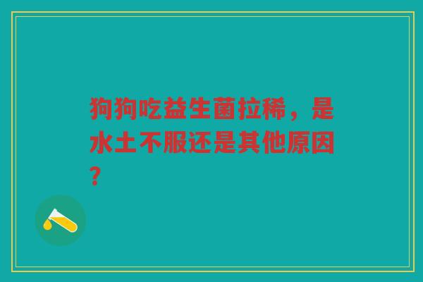 狗狗吃益生菌拉稀,是水土不服还是其他原因?