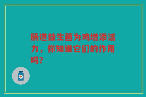 肠道益生菌为鸡增添活力,你知道它们的作用吗?