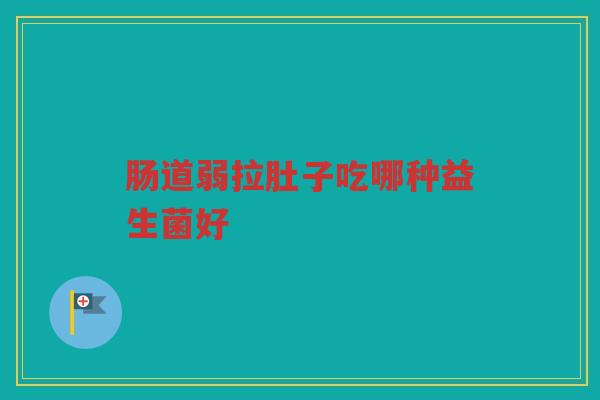 肠道弱拉肚子吃哪种益生菌好 肠道弱拉肚子吃哪种益生菌好