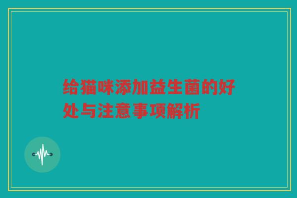 给猫咪添加益生菌的好处与注意事项解析 给猫咪添加益生菌的好处与注意事项解析