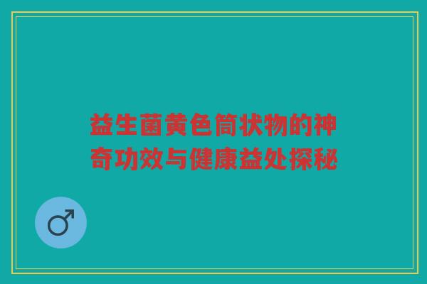 益生菌黄色筒状物的神奇功效与健康益处探秘