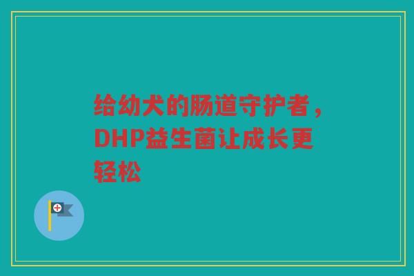 给幼犬的肠道守护者,DHP益生菌让成长更轻松 给幼犬的肠道守护者,DHP益生菌让成长更轻松