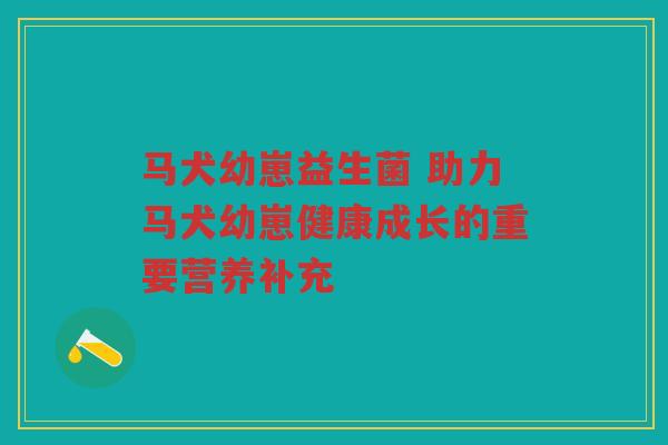 马犬幼崽益生菌 助力马犬幼崽健康成长的重要营养补充 马犬幼崽益生菌 助力马犬幼崽健康成长的重要营养补充